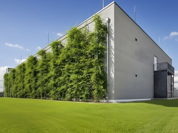 Datacenter Hannover quadrat Ansicht der Fassadenbegrünung am Datacenter Hannover