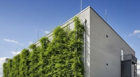 Datacenter Hannover quadrat Ansicht der Fassadenbegrünung am Datacenter Hannover