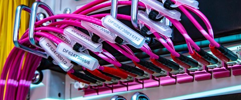 Sieben gute Gründe Rosa Anbindungskabel am Server